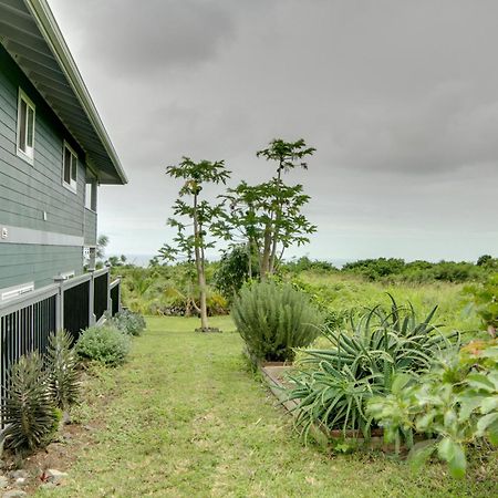 The Aloha Green House Retreat With Ocean Views! Naalehu Екстериор снимка