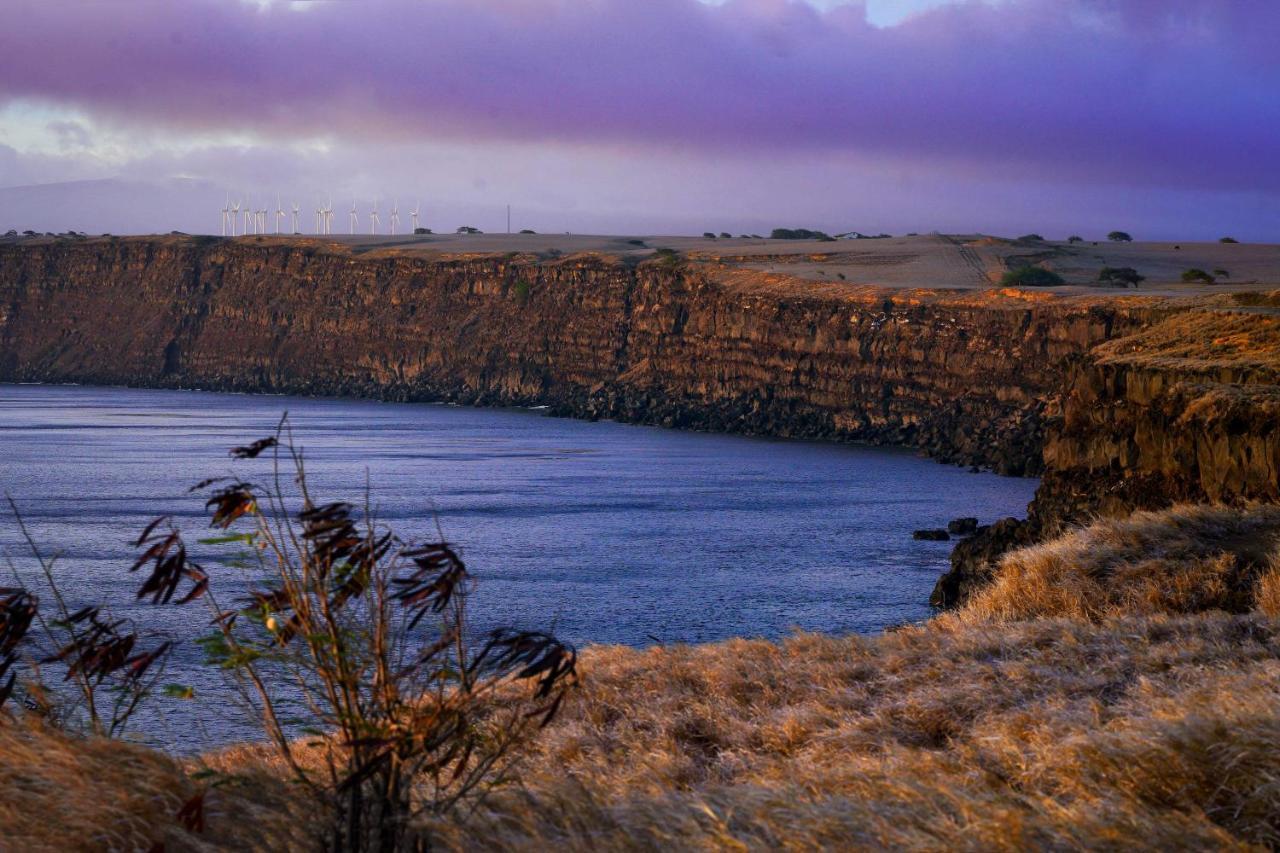 The Aloha Green House Retreat With Ocean Views! Naalehu Екстериор снимка