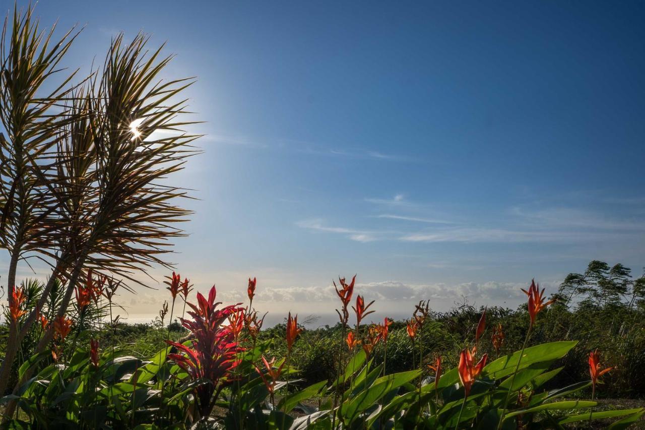 The Aloha Green House Retreat With Ocean Views! Naalehu Екстериор снимка